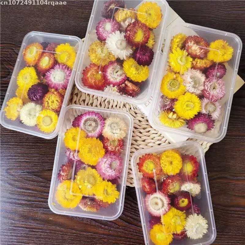 100% 천연 건조 꽃 브라케안타 브라케아타 웨딩 장식 - Candle Making Material Wholesale 리뷰 및 가격